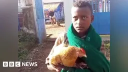 Ethiopian Boy Wins National Acclaim After Seeking Hospital Care for Sick Chicken