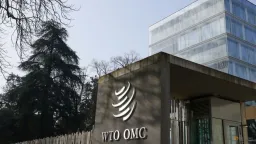 WTO E-Commerce Moratorium Faces Renewal Debate Ahead of Cameroon Summit