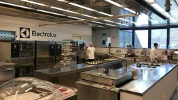 Electrolux Shares Plummet After Quarterly Loss, US Demand Slumps