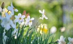Spring IVF Cycles May Offer Improved Embryo Formation