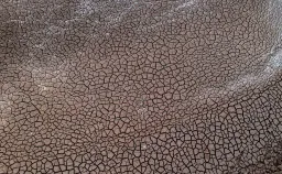 Super El Niño and Iran War Converge, Threatening Global Food Crisis