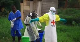 Ebola Outbreak in Eastern Congo Claims 65 Lives, Hundreds Suspected Infected