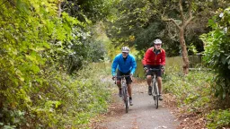 Strategic Exercise for Weight Loss: Strength and Cardio Lead the Way