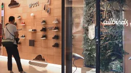 Allbirds Pivots to AI, Shares Skyrocket Over 430%
