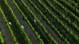 France Heatwave Forces Critical Infrastructure and Agricultural Adaptation