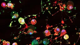 New 'Footprint of Death' Discovery Could Revolutionize Viral Treatments
