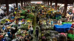 Philippine Inflation Surges Past Central Bank Target Amid Fuel Price Shock
