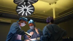 Florida Surgeon Indicted in Fatal Surgical Error: Liver Removed Instead of Spleen