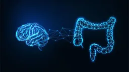 Gut-Brain Axis Emerges as Key Target Against Early Cognitive Decline