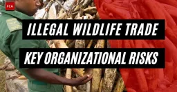 Tech Giants Unite to Combat Illegal Wildlife Trade with AI and Blockchain