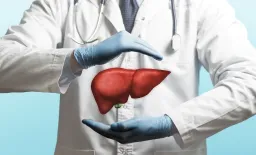 Gilbert Syndrome Safe in Liver Donors, Study Finds