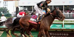 Kentucky Derby Winner Golden Tempo Skips Preakness, Targets Belmont Stakes
