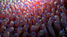 Gut Viruses May Regulate Blood Sugar, Mouse Study Finds