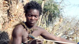 How Human Adaptability Shaped Our Survival and Diversity
