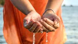 Andean Population Evolves Genetic Resistance to Deadly Arsenic in Drinking Water