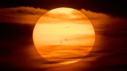 June 2026 Hottest on Record in Europe, Second Warmest Globally