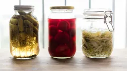 Gut Health Linked to Brain Aging and Cognitive Decline