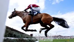 Gold Dancer Suffers Fatal Injury in Aintree Race