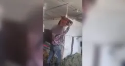 Video of Jockey Striking Horse at Winnipeg Racetrack Sparks Call for Surveillance