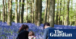 Half of UK Adults Spend Less Than 3 Hours Weekly Outdoors