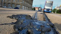 Germany Unprepared as Record 41°C Heatwave Cripples Infrastructure and Hospitals