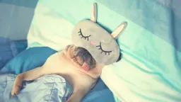 Experts Weigh In: The Health Risks of Sleeping With Your Pet