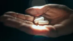 Daily Prebiotic Supplements Improve Memory in Older Adults, Study Finds
