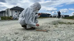Hungary Grapples with Widespread Asbestos Contamination in Roads