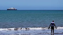Hantavirus Outbreak on Cruise Ship Prompts Emergency Evacuation