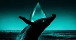 Hyperliquid Trader Suffers Massive Liquidation on Leveraged Oil Bet