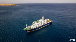 WHO Says Public Risk Low After Hantavirus Deaths on Cruise Ship
