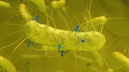 New Virus Found in Gut Bacteria Linked to Colorectal Cancer