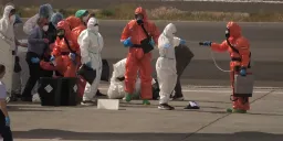 Protocol Breach at Dutch Hospital Forces 12 Staff Into Hantavirus Quarantine