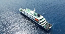 Hantavirus Outbreak on Cruise Ship: How It Spread and What We Know