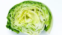 US Cyclospora Outbreak Linked to Mexican Iceberg Lettuce