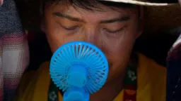 Beyond Freezing Pajamas: The Science of Keeping Cool Without Air Conditioning