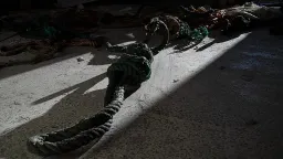 Iran's Execution Rate Skyrockets 68% in 2025, NGOs Report
