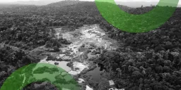 Stablecoins Fueling Illicit Amazon Gold Trade into Venezuela
