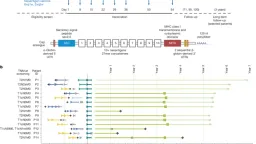Personalized mRNA Vaccines Show Durable T Cell Immunity Against TNBC