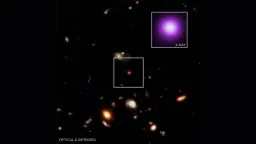 JWST Uncovers a Black Hole That Could Explain 'Little Red Dots'