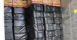 UK Authorities Seize Five Tons of Cocaine in Major Port Bust