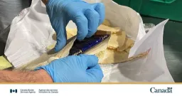 250 kg of Cocaine Hidden in Flatbread Intercepted at Halifax Port