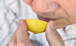 Long COVID Taste Loss Tied to Molecular Changes, Not Structural Damage