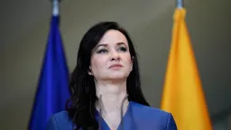 Lithuania Blames Foreign State for Massive Data Leak