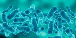 First Death Reported in Manhattan Legionnaires' Outbreak, Cases Rise to 67