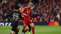 Liverpool's Ekitike Suffers Season-Ending Achilles Rupture