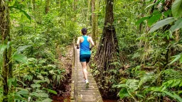 Bucket-List Marathons: Epic Races Across the Globe