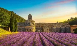 France's HIV Prevention Stalled by Low PrEP Uptake Among Women and Migrants