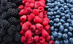 Flavanol Gap: Even 5-A-Day Fails to Protect Heart Health