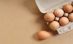 Mast Cell Activation Test Shows Promise for Egg Allergy Diagnosis